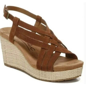 Zodiac Women's Petra Wedge Ankle Strap Brown Suede Sandals Size 9 NWT